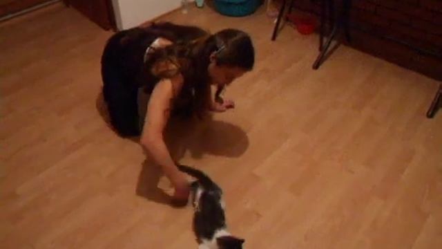 Флегматичный кот) смотреть онлайн