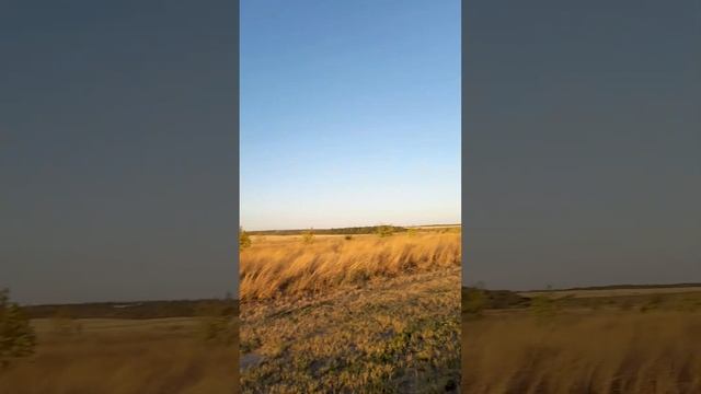 Ветряки в Ростовской области. август 2022 г. смотреть онлайн