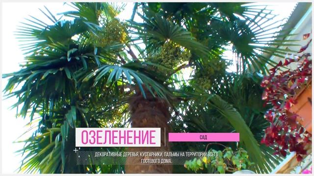 Гостевой дом "Отдых у Вали", Лдзаа, Абхазия смотреть онлайн