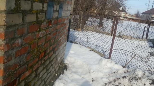 Голуби с комментарием подкидываю смотреть онлайн