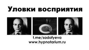 Уловки восприятия