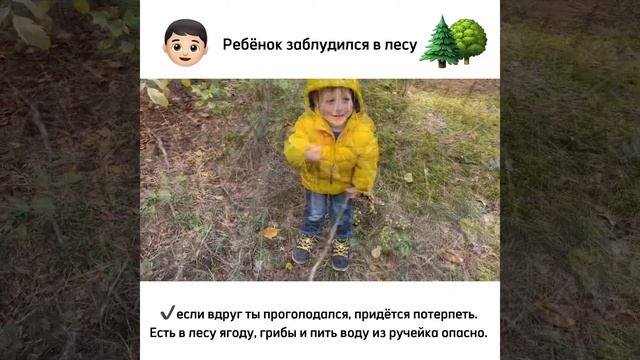 Что делать, если ребенок заблудился в лесу смотреть онлайн