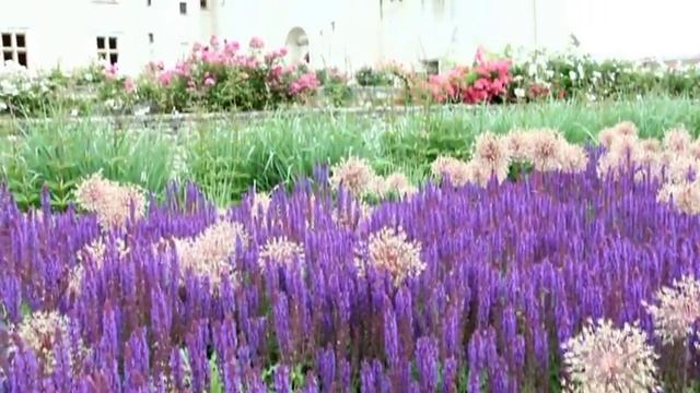 Jardin du Rivau, un jardin de roses - Val de Loire - France смотреть онлайн