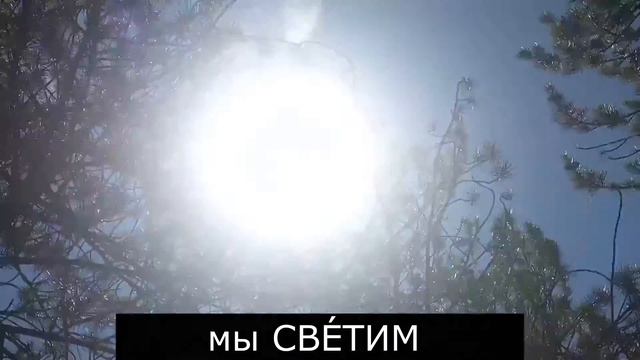 СВЕТИТЬ смотреть онлайн