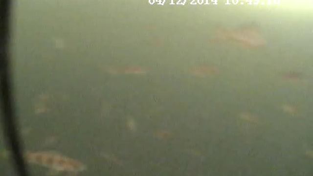 Зимняя рыбалка с подводной камерой смотреть онлайн