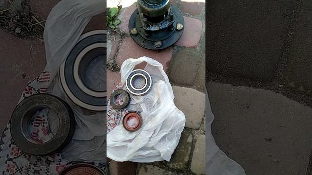 Левый или правый сальник полуоси или приводов валов.