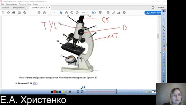 5 класс, впр, занятие 17 04 2020 смотреть онлайн