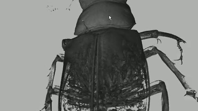 CT bug 2011-11-30 15-52-35-00 смотреть онлайн