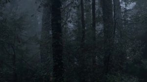 СТРАШНАЯ история «НИНКА»