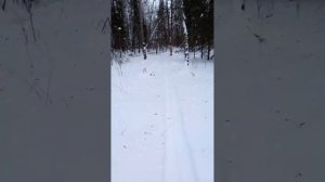 Пристрелка тепловизора на ИЖ 27