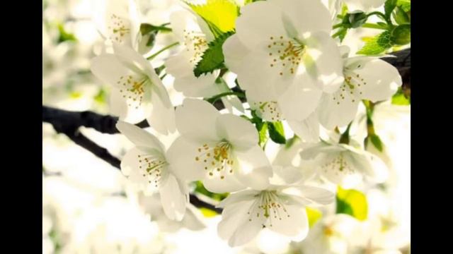 Я ЕСТЬ ЛЮБОВЬ 2017 Арктурианская группа Послание