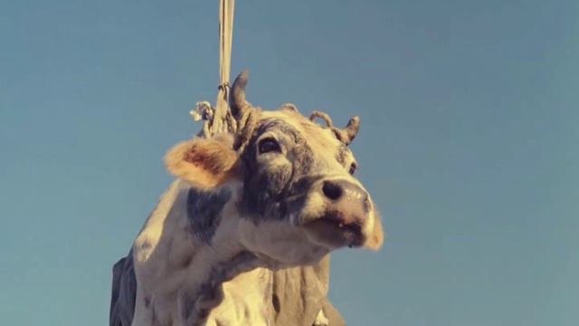 Про работу с заказчиком или 