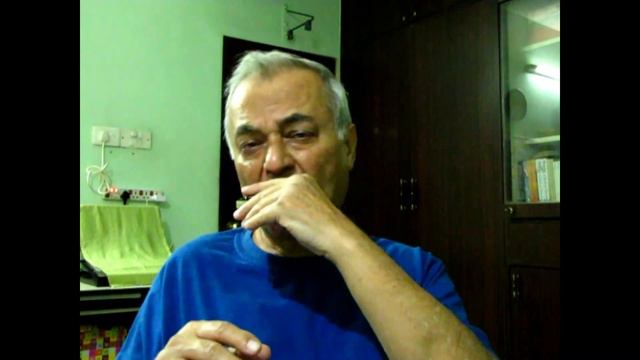 Harmonica Cover of San Bernadino смотреть онлайн