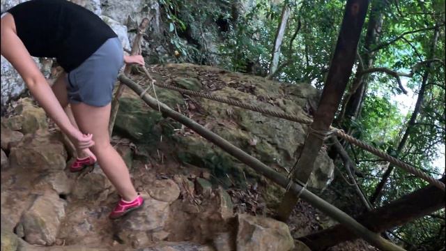 Tagesausflug im Khao Sok Nationalpark - Wilde Elefanten und Dschungelwanderung смотреть онлайн