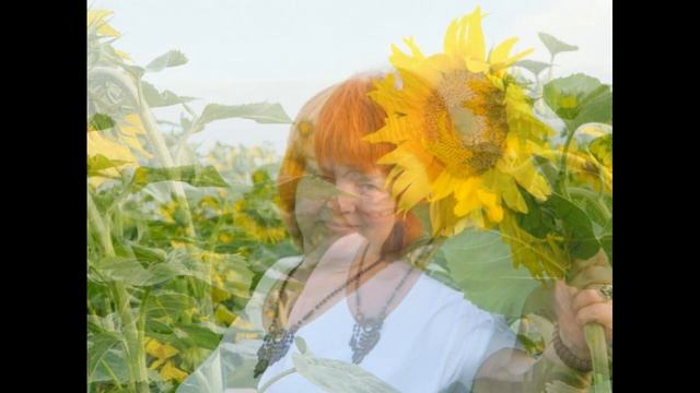 Подсолнух- маленькое солнце смотреть онлайн