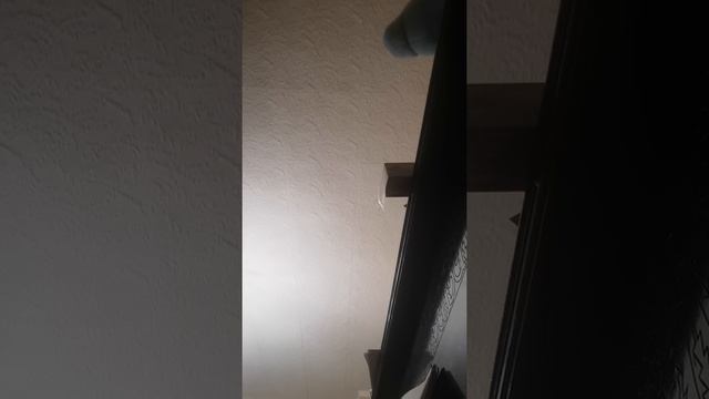 Игровая песня "ЭХО" 1ые классы смотреть онлайн