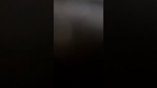 Продают одежду очень плохого качества обмен не производят без сертификатов магазине ДУСТЛЫК смотреть онлайн