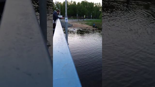 Бомжи плавают в Яузе смотреть онлайн