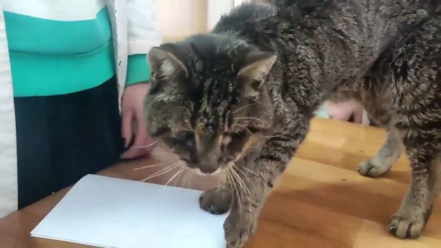 Минно-взрывная травма…он инвалид. Вывернув голову, он смотрит в душу единственным глазом смотреть онлайн