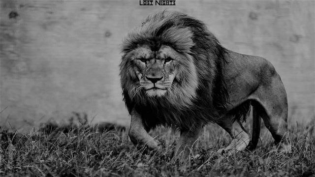 Air Strike 3D Operation W.A.T. - Soundtrack 02 ⭐ + ? смотреть онлайн