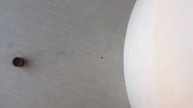 Насадка для шлифовки на гравер, DREMEL 2615S407JA DREMEL SC + 2круга (2615S407JA) смотреть онлайн