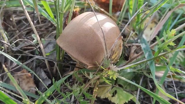 Южный Урал  осень 2023