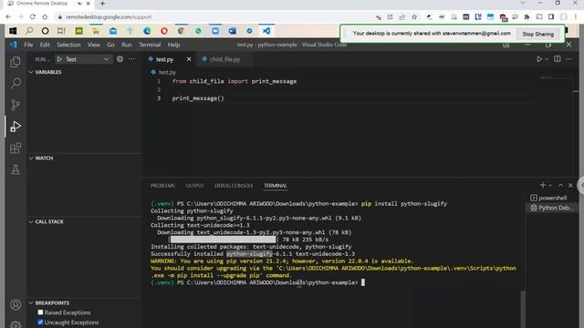 28: Python virtual environments, VSCode launch configurations, packages w/ pip and requirements.txt смотреть онлайн