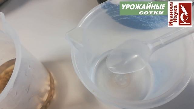 Семечки подсолнуха против ВИРУСОВ. Почему позеленели семечки? Ответ найден! смотреть онлайн