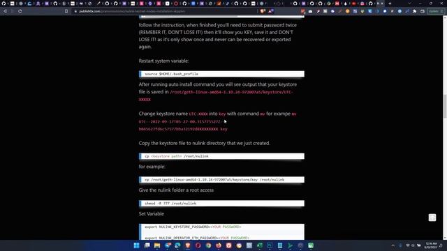 NuLink Incentivized Testnet - Nodes Installation смотреть онлайн