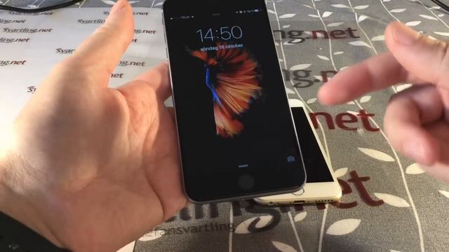 My Space Gray iPhone 6s plus and Gold iPhone 6 comparison смотреть онлайн