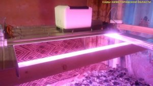 КЛУБНИКА ДОМА.Выращивание клубники дома,готовим стеллаж