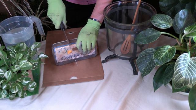 Coconut Coir for Houseplants / Sustainable Amendment смотреть онлайн