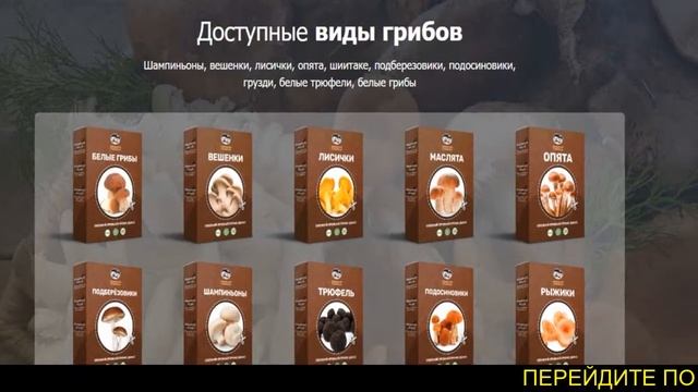 Грибы вешенки, опята, выращивание в домашних условиях. Купить грибницу смотреть онлайн