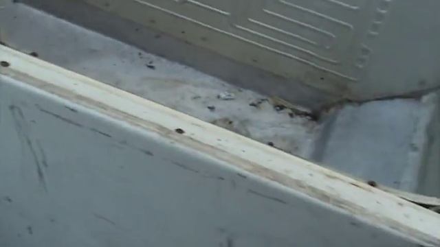 Мороженое своими руками с Мойшей Левшан ч.25 смотреть онлайн