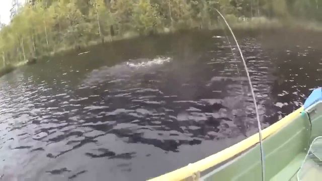 отличная рыбалка!!! смотреть онлайн