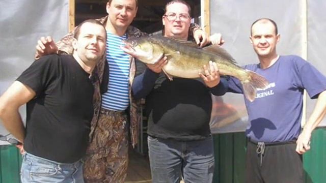 База Песчаный берег 2012 смотреть онлайн