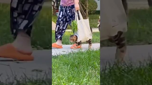 На прогулке смотреть онлайн