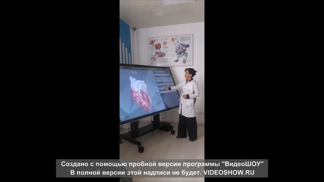 Жаныбек кызы К ст. препод. Гистология смотреть онлайн
