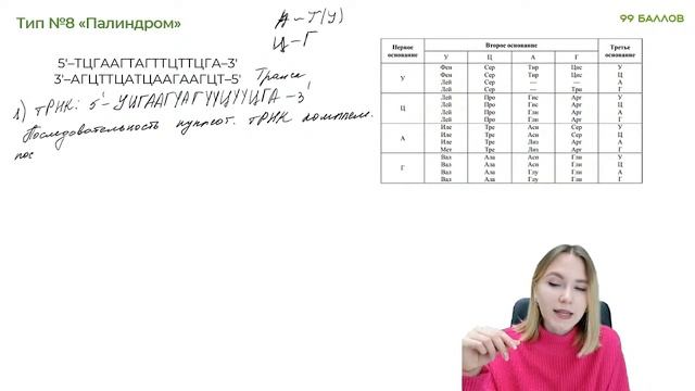 Палиндром в биосинтезе белка