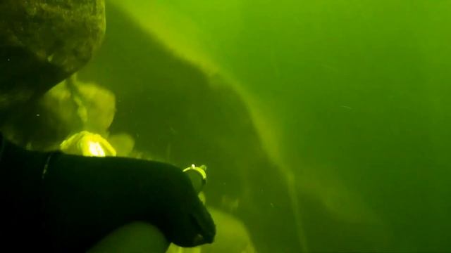 Подводная охота на горной реке смотреть онлайн