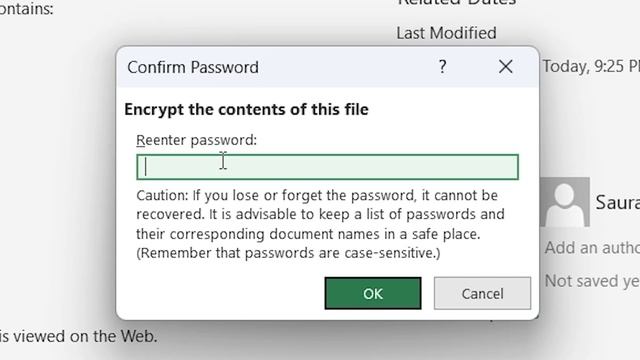 How to password protect an Excel File | Secure Excel document with password смотреть онлайн