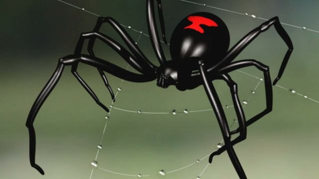 Каракурт - кусь смерти смотреть онлайн