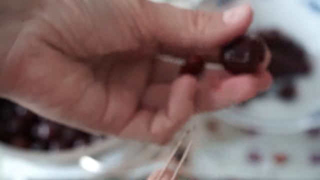 Приключения на Природе