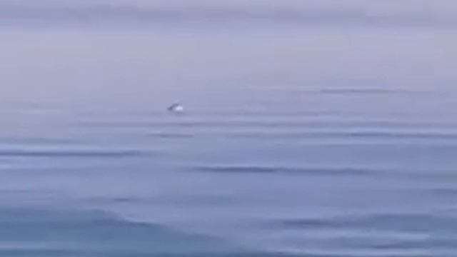 Boumerdes Magnifique Vue de la Mer___ смотреть онлайн
