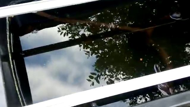 "Разведение" живого корма для аквариумных рыб. Личинка комара - " чёртики". смотреть онлайн