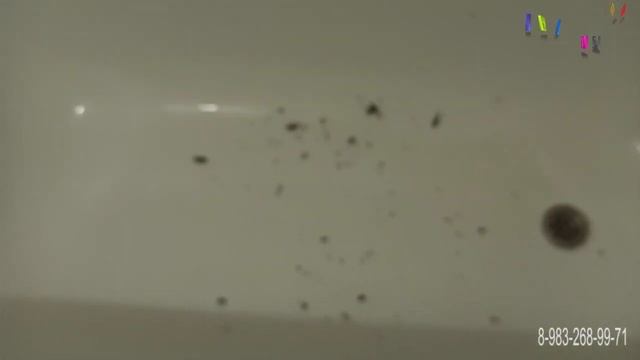 Ремонт швейной машинки БРАЗЕР ХЛ 2220.