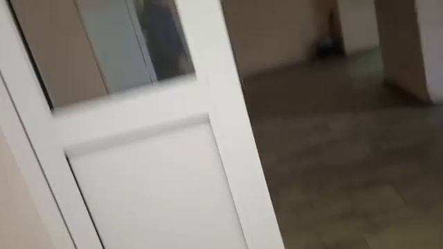 2_537532990657607508.mp4