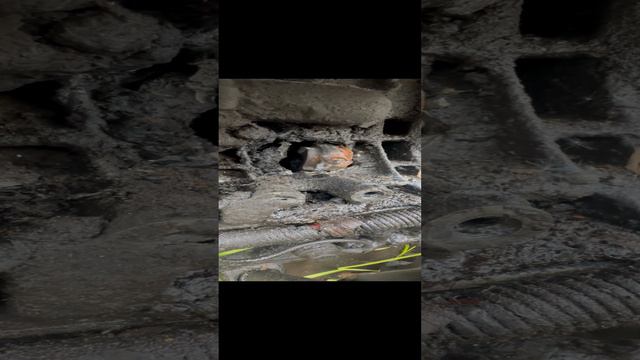 Что значит мотор показал кулак 🤛 смотреть онлайн