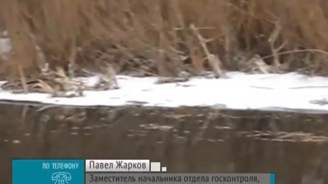 Гибель рыбы в Кузьминке смотреть онлайн