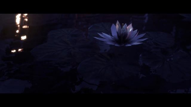 Kambulat - Привет ?(3D EDIT CSGO cinema 4D) feat @lamb5294 смотреть онлайн